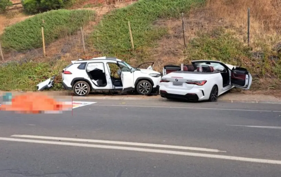 Un empresario mendocino y ex jugador de Los Pumas falleció en un accidente de tránsito en Chile